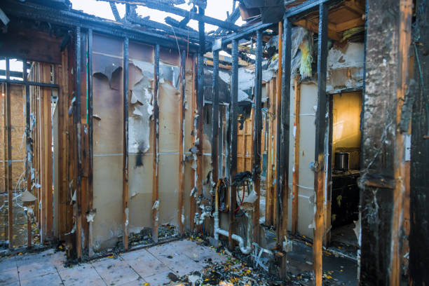 Professional Fire Board Up technician working in Springfield, FL