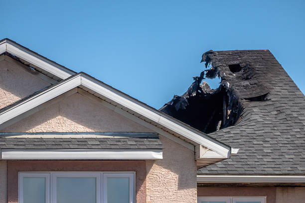 Top rated local Fire Board Up specialists in Springfield, FL